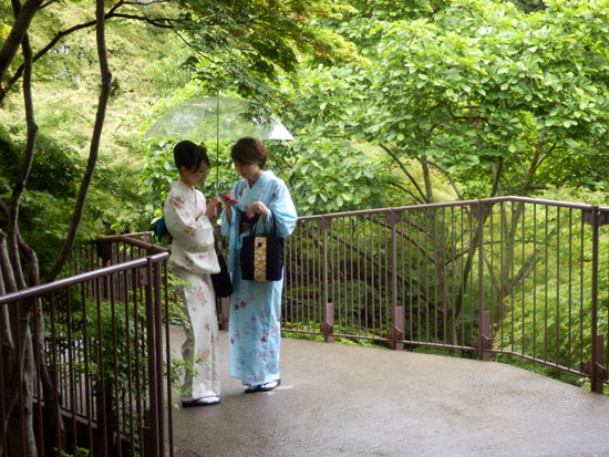 雨の清水寺 青もみじ_e0048413_19282435.jpg