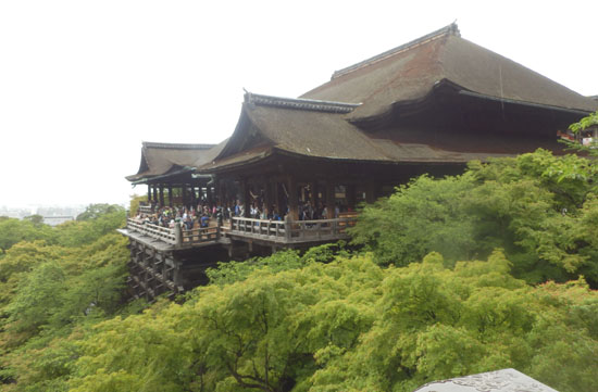 雨の清水寺 青もみじ_e0048413_1929898.jpg