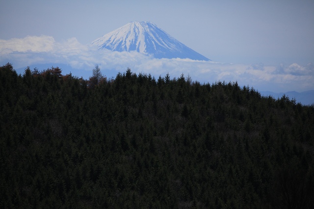 ♪　富士山　♪_e0242721_1538469.jpg