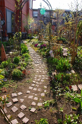 f0170524_8232076.jpg