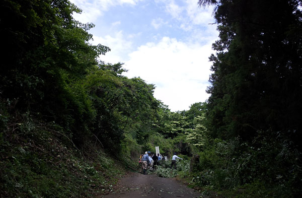 新緑の裏ヤビツ・秦野の里山_e0089826_21464943.jpg