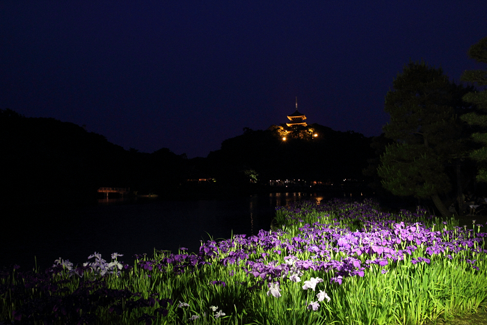 鎌倉散歩　#33 －横浜・三溪園蛍の夕べ－_b0169330_21482826.jpg