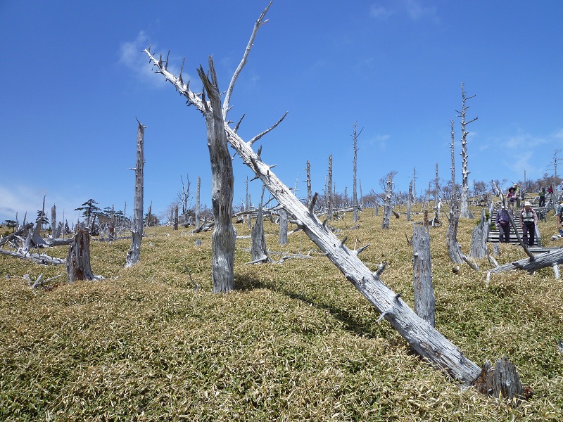 大台ケ原・日出ケ岳(1695m)_d0075131_18371387.jpg