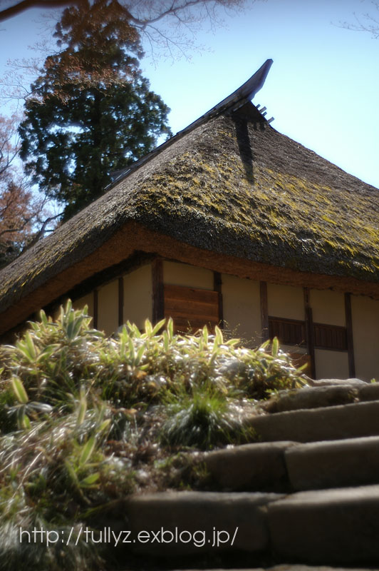 飯山の桜　（３）_d0108132_16502426.jpg