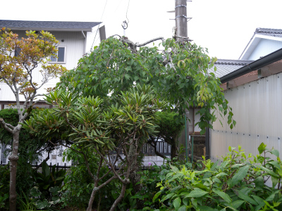 e0272335_16254667.jpg