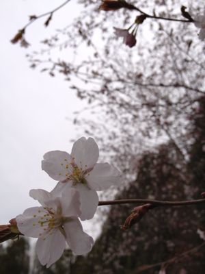 b0260738_20223970.jpg