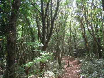 c0077338_8273999.jpg