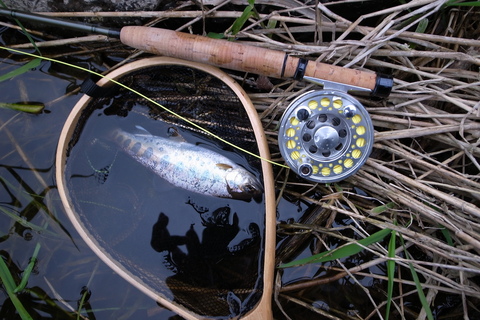 f0280739_20325963.jpg