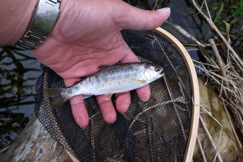 f0280739_20341465.jpg