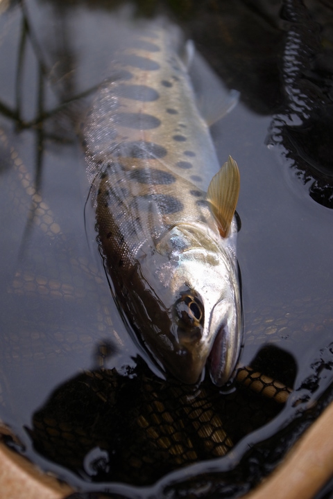 f0280739_20351889.jpg