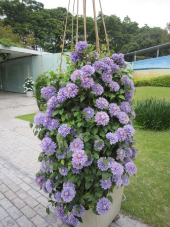 c0025140_08342.jpg