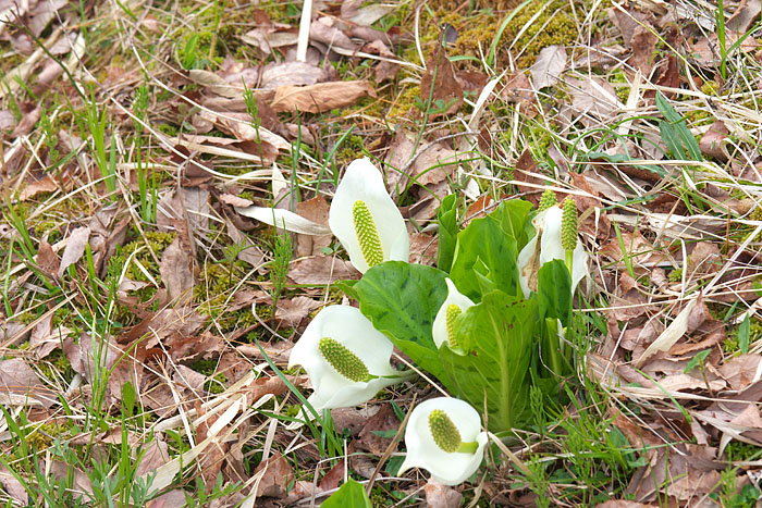 c0067040_235438.jpg