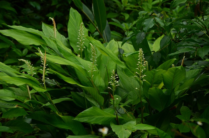 b0288942_1036014.jpg