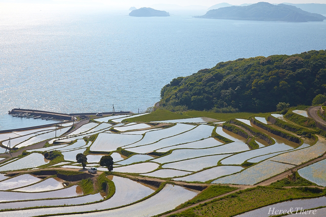 棚田の風景　#1_f0231243_22271614.jpg