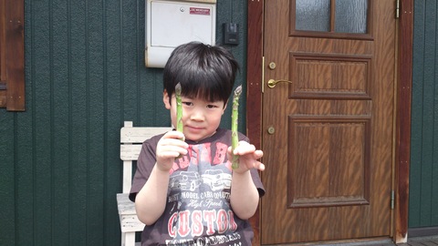 【きたー!!札幌の春!!2013!!】_e0255945_21545341.jpg