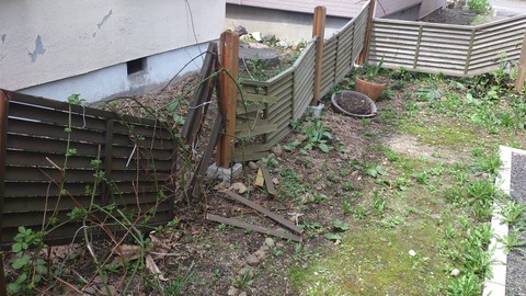 【きたー!!札幌の春!!2013!!】_e0255945_21581324.jpg