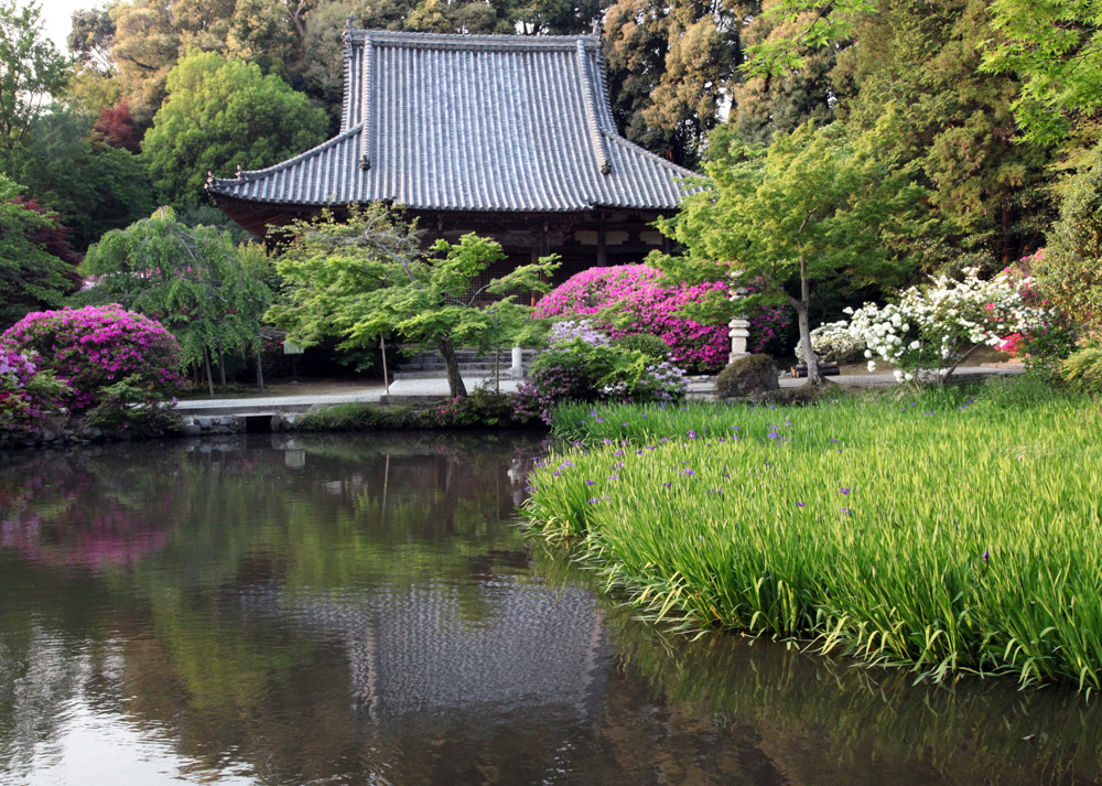 天理市　長岳寺　ツツジ_c0108146_21264764.jpg