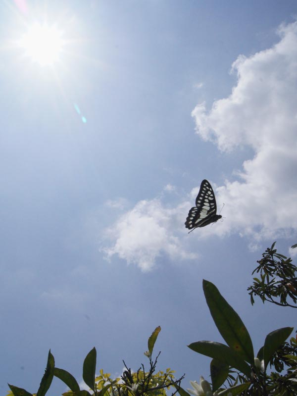 c0045352_9261958.jpg