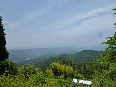 顔振峠（５０６ｍ）　２０１３．０５．１８（土)_e0096154_22432461.jpg