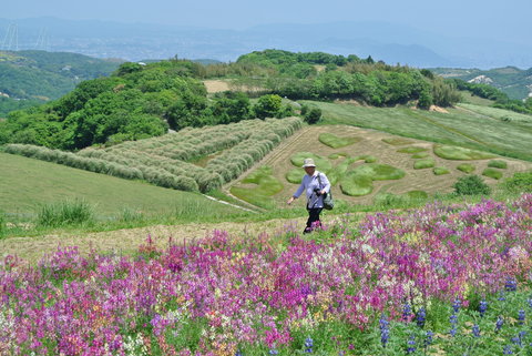 淡路島へ_f0233356_832122.jpg