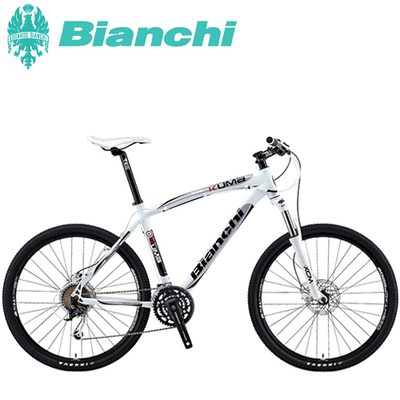 2013年モデル Bianchi 在庫表 FLAME bike_e0188759_19225941.jpg