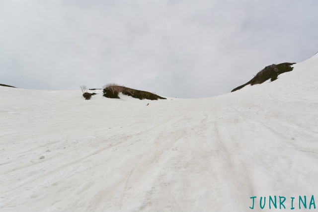 d0110562_20243343.jpg