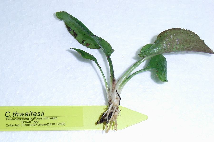d0249970_43194.jpg