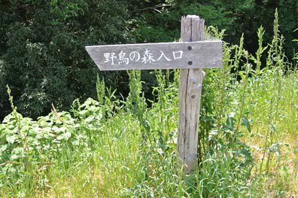 a0121671_14103577.jpg