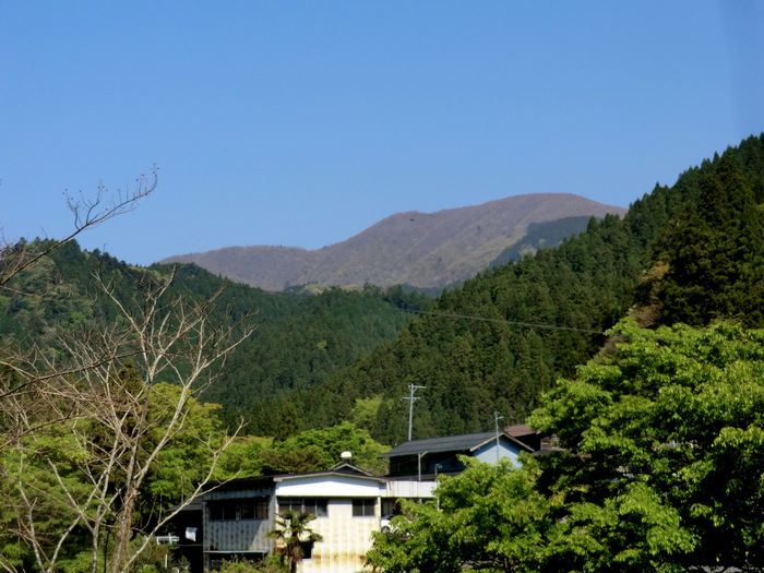 Ｎｏ289　奥美濃の花の山・舟伏山_b0185573_16314187.jpg