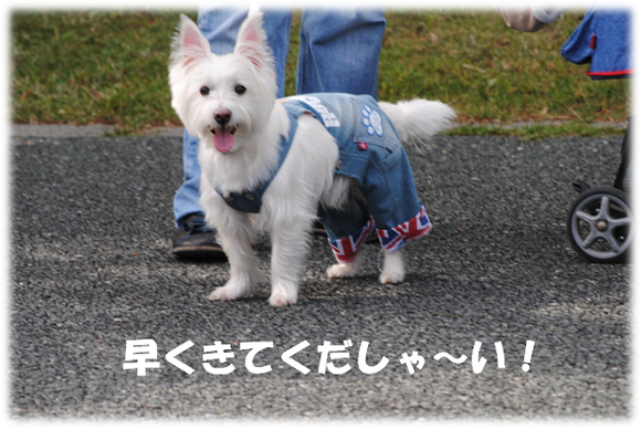 b0242873_20294066.png
