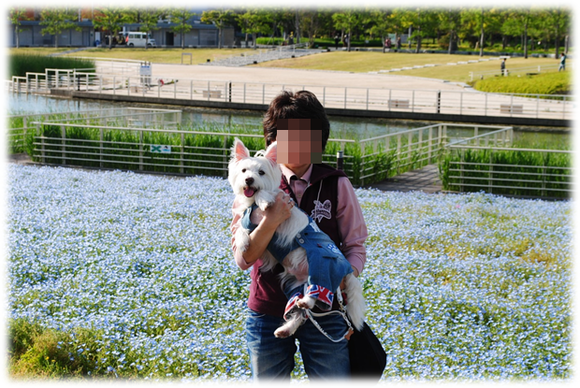 b0242873_923596.png