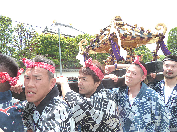 2170回 三社祭 町内神輿連合渡御_d0062675_17383920.jpg