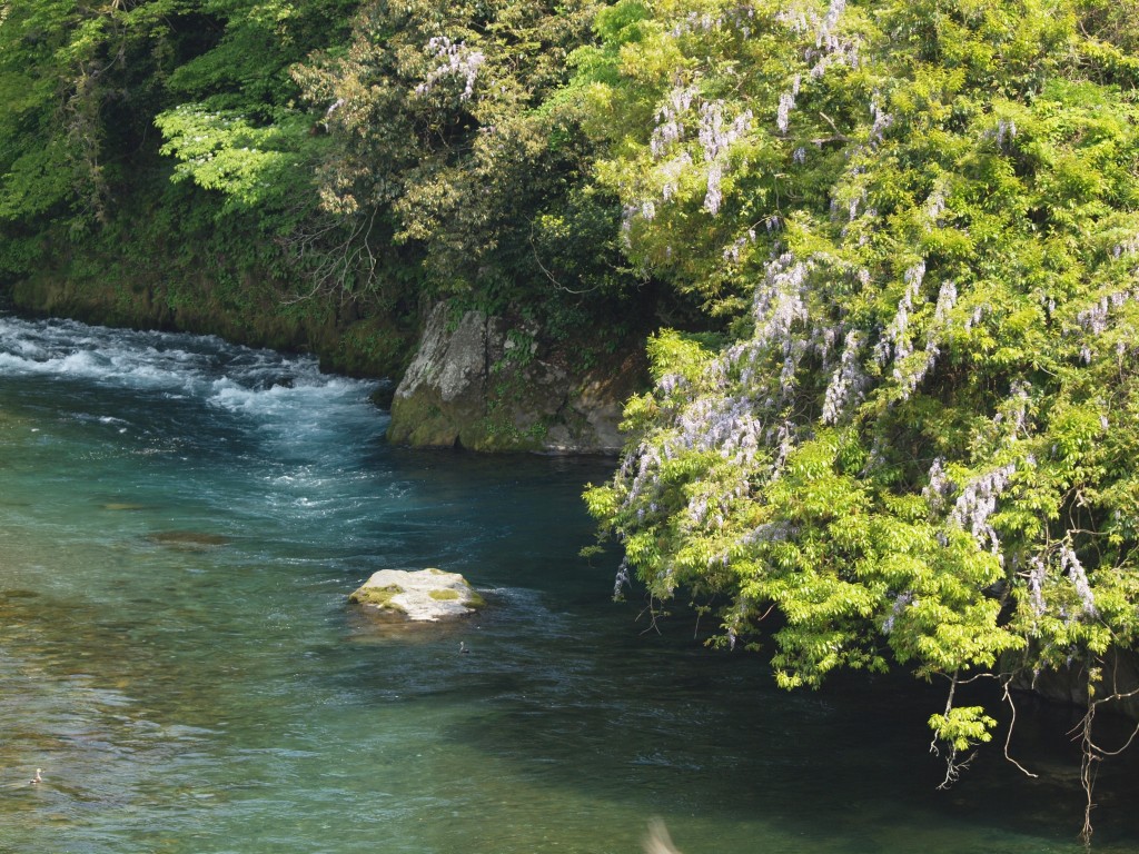 『根尾川水遊風景』_d0054276_20971.jpg