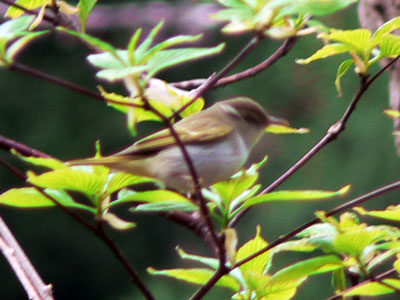 f0083977_62994.jpg