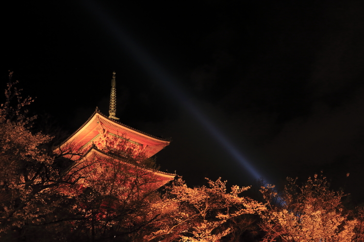 大阪京都撮影記～清水寺～_c0239983_04481.jpg