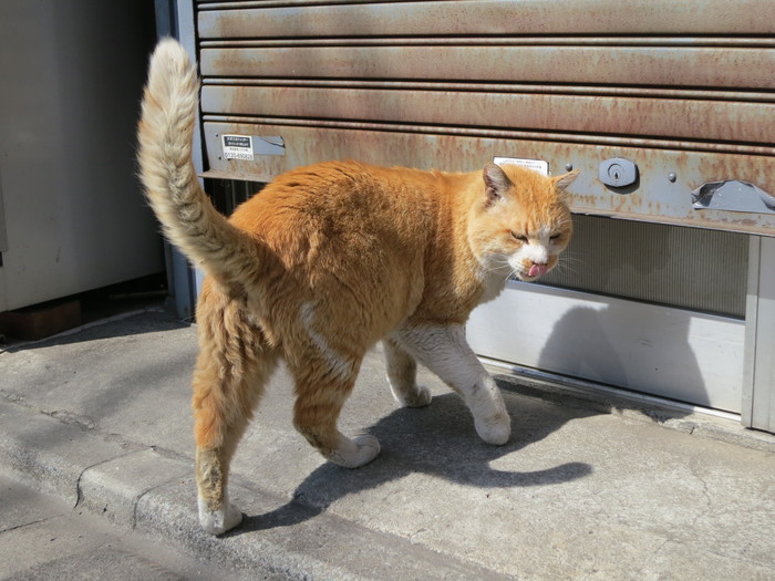 長崎十字会商店街を歩く 江古田から池袋まで アルさんのつまみ食い２