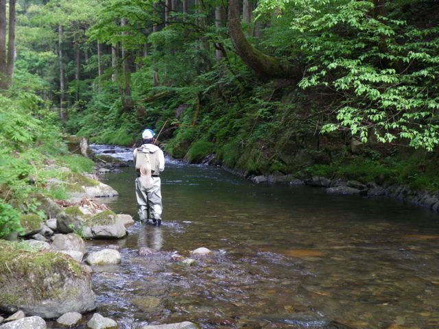 晴れ晴れ曇りのち大雨_a0089288_20111890.jpg