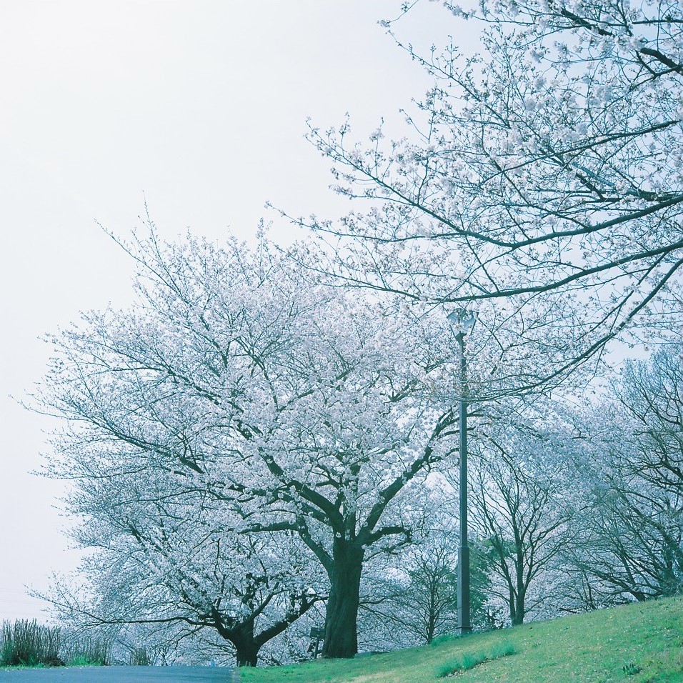 e0249590_2011288.jpg