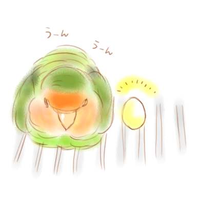 茶々はボケボケ?!_d0123492_1655246.jpg