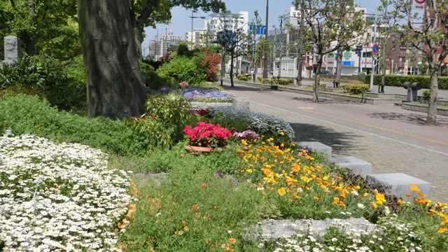 d0181492_8522567.jpg
