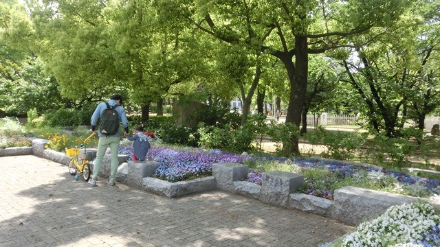 d0181492_8532541.jpg