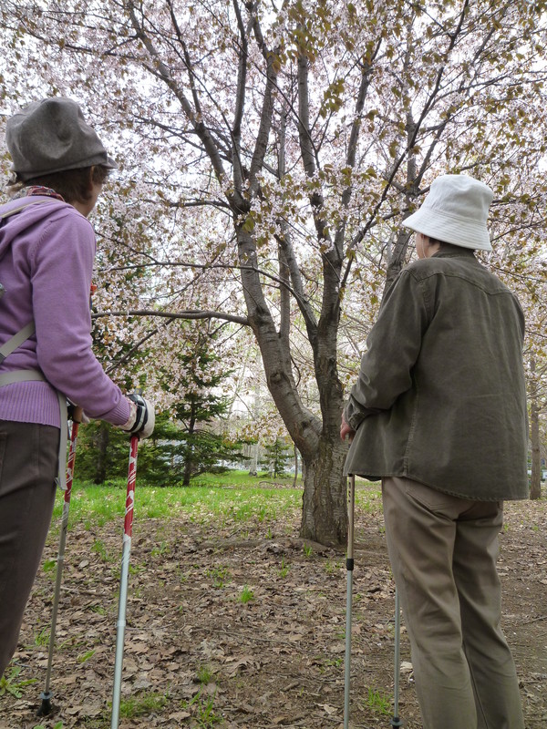 ノルディックウォーキング体験会2013・春夏一発目!_d0198793_16315683.jpg