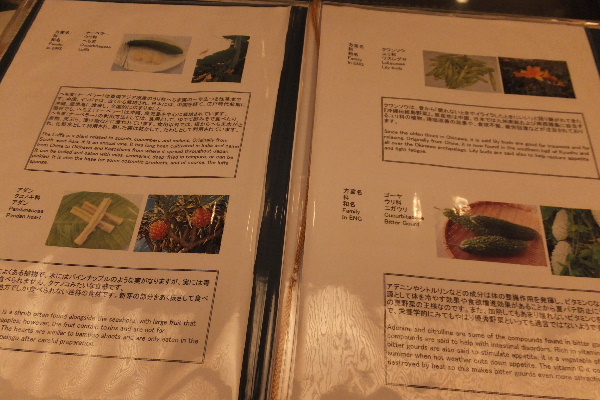d0080998_2059320.jpg