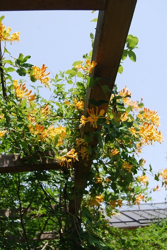 c0124100_2119501.jpg