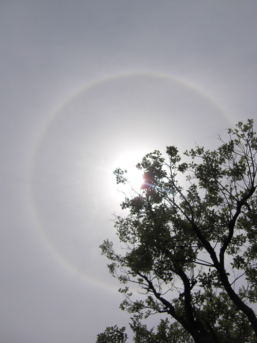 地域グリッド（神社等）の重要性の再確認！！_f0071303_21295694.jpg