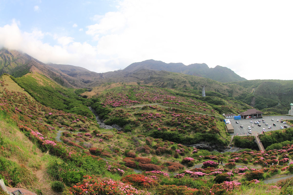 阿蘇・仙酔峡のミヤマキリシマ。_a0097006_123432.jpg