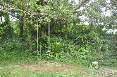 b0143308_23191732.jpg