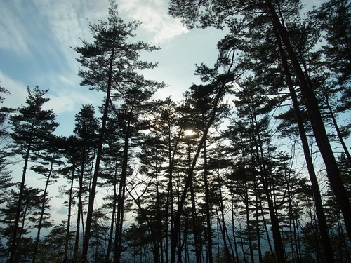 e0243008_8435498.jpg