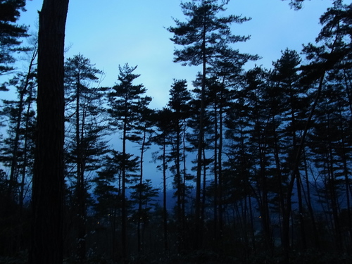 e0243008_8485482.jpg