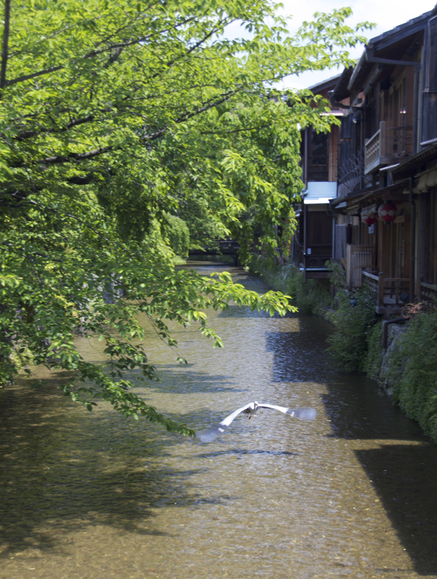 京都　〜 清水寺・祇園界隈 〜_c0186410_2024657.jpg